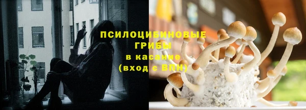 прущие крисы Костерёво
