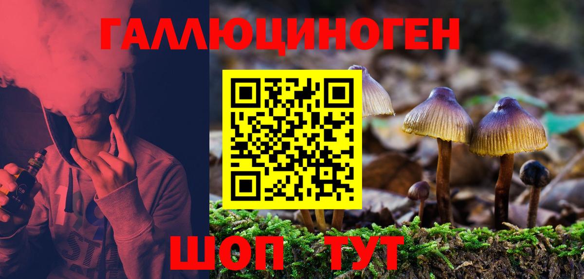 Галлюциногенные грибы мицелий Белгород