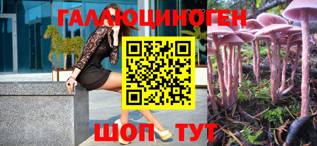 Галлюциногенные грибы Psilocybe  Галлюциногенные грибы Cubensis  Белгород 